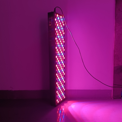kupować 1000W Panel terapii czerwonym światłem 7 widma Urządzenie terapii czerwonym światłem produkcja internetowa