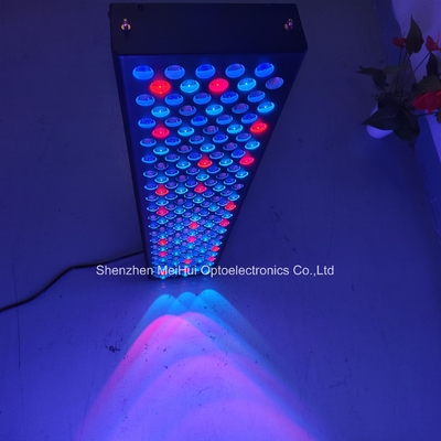 kupować NIR Light Red Light Urządzenia do terapii skóry do użytku domowego 1000W 9-kolorowe spektrum produkcja internetowa