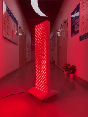 kupować High Power 2000W Red + Near Infrared Light Panel – OEM Factory with Pulse Mode & Brightness Control produkcja internetowa