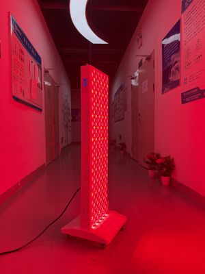 kupować OEM Factory Supply 2000W Red Light Therapy Panel – 630/660/810/830/850nm Wavelength Options produkcja internetowa