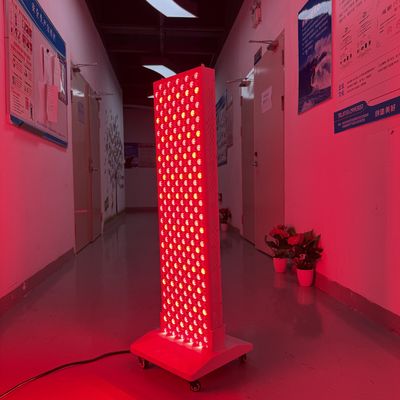 kupować Panel całego ciała 2000W 5w 660nm 850nm Stojąca nowoczesna lampa terapii czerwonym światłem produkcja internetowa