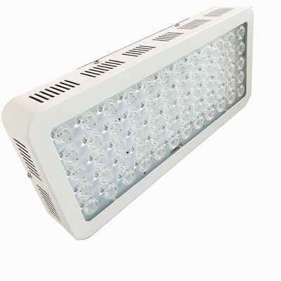 kupować NIR 850nm 300W Urządzenie do terapii światłem czerwonym całego ciała do depresji produkcja internetowa