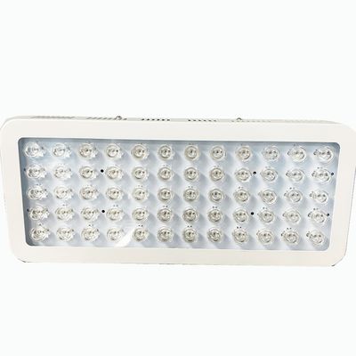 kupować 300W 850nm Czerwone światło i terapia światłem w bliskiej podczerwieni na ból kolana produkcja internetowa
