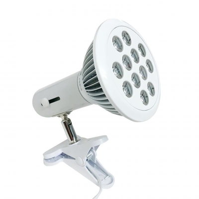 kupować E27 Czerwona żarówka LED z gniazdem 36W Lampa terapeutyczna 660nm 850nm Terapia światłem czerwonym produkcja internetowa
