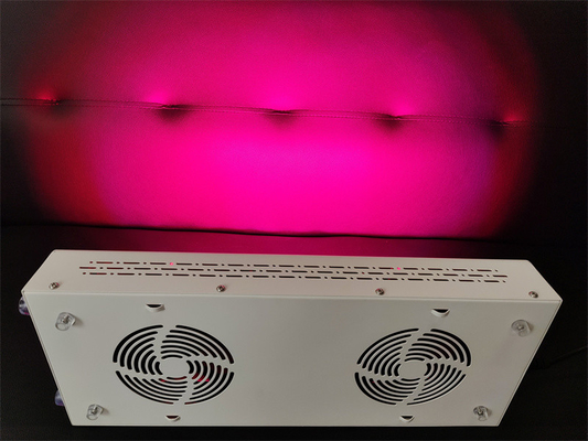 600w Opieka nad ciałem Urządzenie do terapii czerwonym światłem Red Nir Spectrum personalizacja dla bezbłędnej skóry