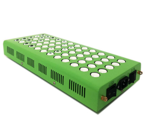 300w 660nm 850nm Anti Aging Terapia światłem podczerwonym na ból kolana