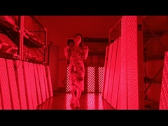 Panel do terapii światłem czerwonym o mocy 3000 W