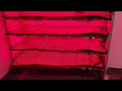 /Dostosowane 660nm 850nm /Czerwone światło /Therapy 120pcs /LED urządzenia odchudzające