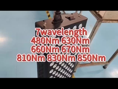 660nm 850nm AC Maszyna do terapii światłem czerwonym Ulga w bólu do użytku osobistego